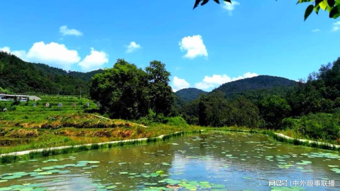 近期地推推广智能化配置您的创作工具:电商运营与内容测试的高效工具早餐店汤里死老鼠脚已熬得发白