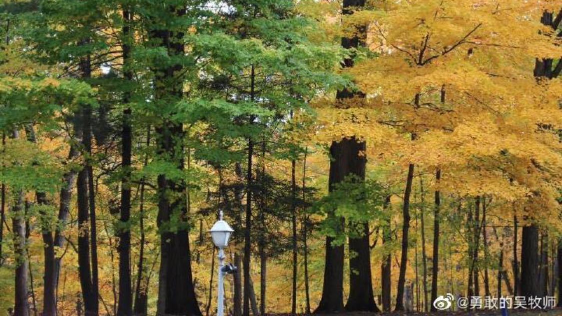 ks拔河助力牛气自助下单